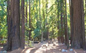 Big Sur Marathon Run Mile 1