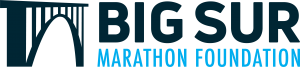 big sur logo