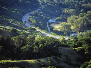Big Sur Marathon Run Mile 5